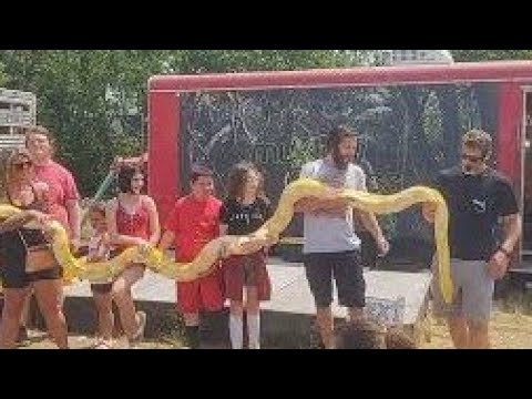 Check out this yellow MONSTER