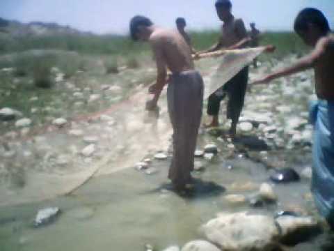 basir haider fishing
