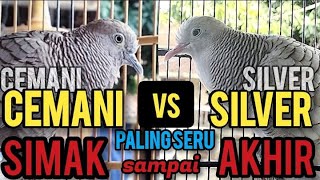 Download lagu Perkutut Cemani Gacor Vs Silver Gacor,Paling Seru,Simak Sampai Akhir mp3 Download lagu Perkutut Cemani Gacor Vs Silver Gacor,Paling Seru,Simak Sampai Akhir mp3