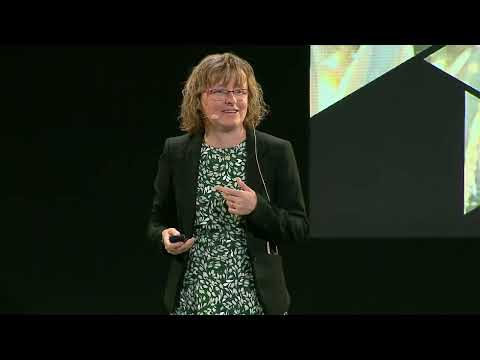 JEC Conference: Aerospace: Developing the Aircraft of Tomorrow with Composites