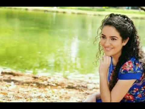 Gisele Lima - O inimigo está Furioso