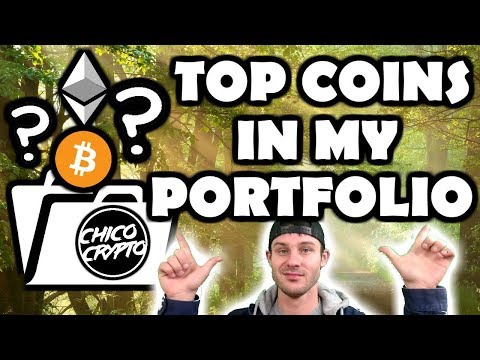 Which Coins do I HODL??? Portfolio breakdown in % 👍🏼 🤑 Top Cryptocurrency 2018-2019 Video