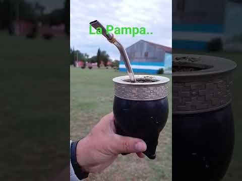 por los pagos de quehue ( la Pampa, Argentina. )