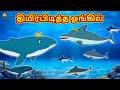 Tamil Stories திமிர்பிடித்த ஓங்கில் Tamil Fairy Tales Bedtim