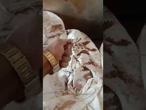 Neem fruit powder, packaging size: 40 kg 50 kg, packaging ty...