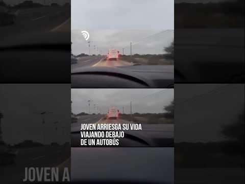 ¡Viajó 70 kilómetros debajo de un autobús y nadie lo había notado! 😳🚌