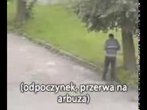 Ide albo nie ide
