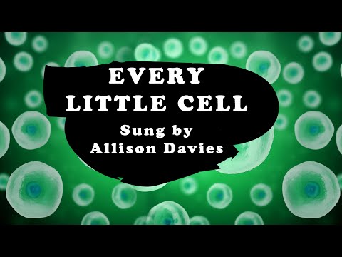 Allison Davies "Every Little Cell in my Body is Happy & Well" Melodic Mantra Affirmation Song Looped