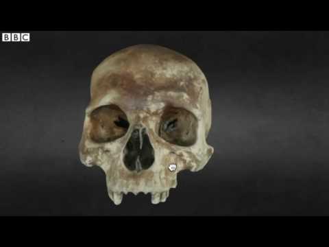 Mary Rose shipwreck skulls go online in 3D | Short News