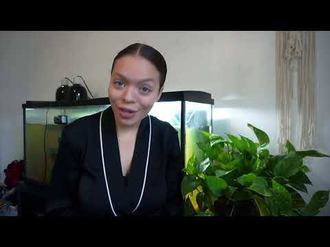 Turtle Chasers Floating Treats