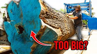 Should I Have Bought A Bigger Sawmill?