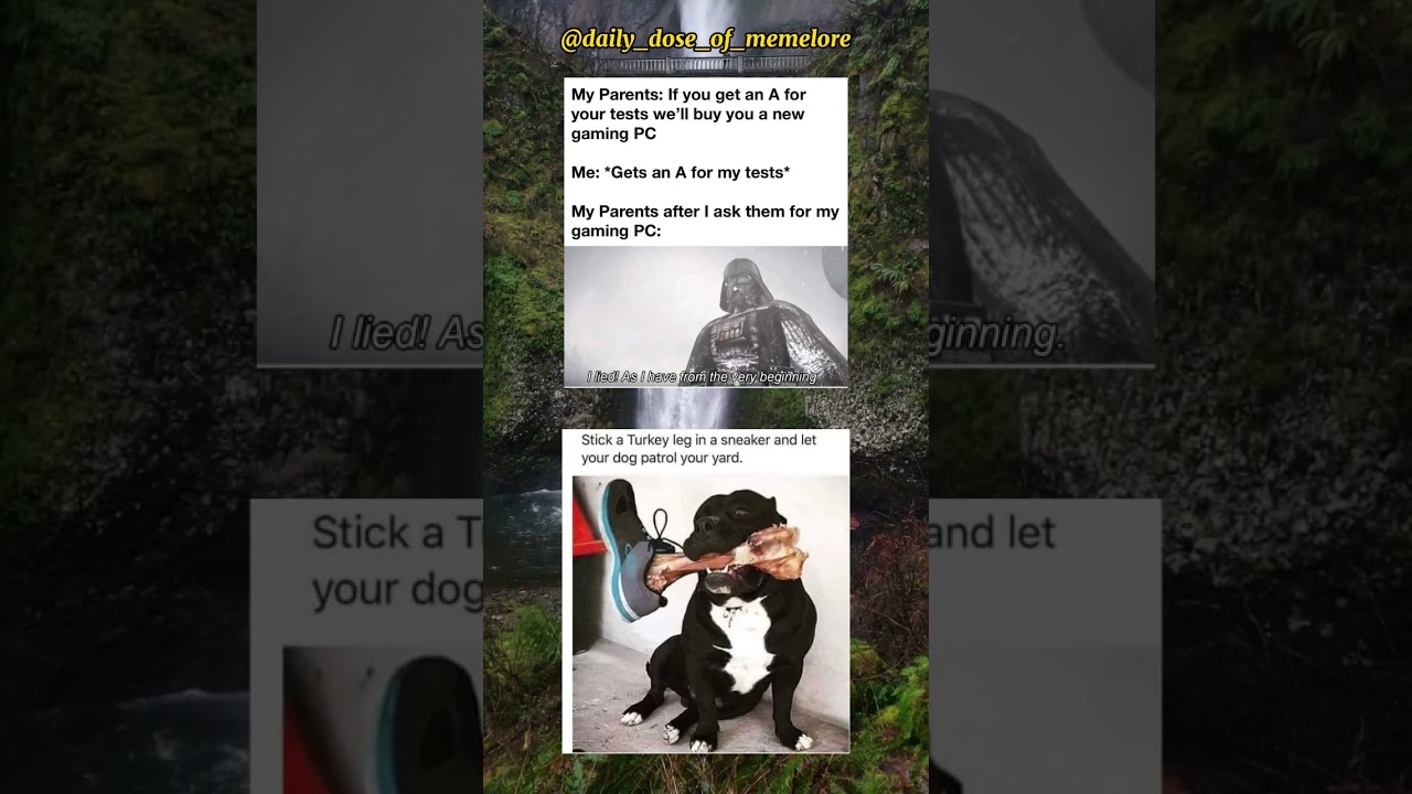 We’ve been bamboozeled 🤣 #funnymemes #dankmemes