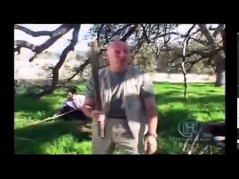 Spectacular Domino Rally Stunt Screen Link