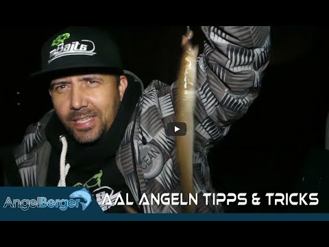 Erfolgreich Aal Angeln mit Knicklichtpose Aalangeln Tipps und Tricks für Eel Erfolg beim Aalfischen