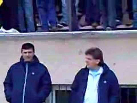 İstanbulspor boğaları (Taraftar)