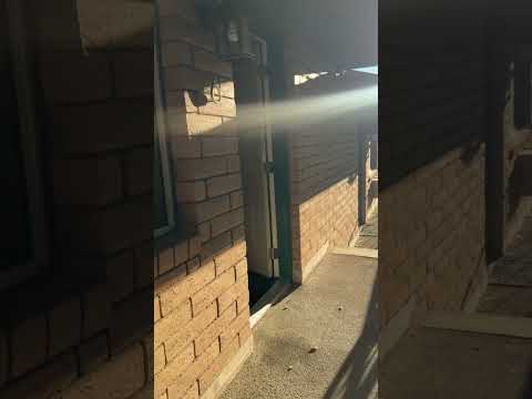 445L - Video 2 of 2