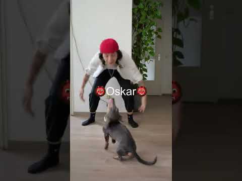 So habe ich mir den Fuß gebrochen | How2Shirli