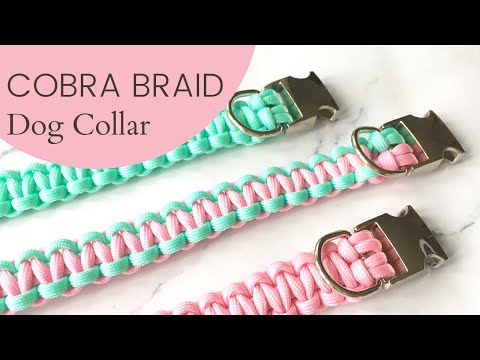 Cobra Braid Dog Collar | Full Step-by-Step Tutorial