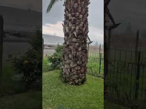 Intensa granizada en Rengo