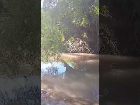 Buscando Mojarras para Carnada mientras disfrutamos del paisaje #pesca #arroyito #cordoba