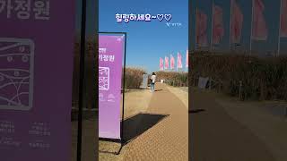 맹꽁이 전기차 타고 고고~가을 억새명소 상암 하늘공원 서울정원박람회 서울 가볼만한곳 상암 월드컵공원 노을맛집 #잔나비 #주저하는연인들을위하여 #최정훈#shorts