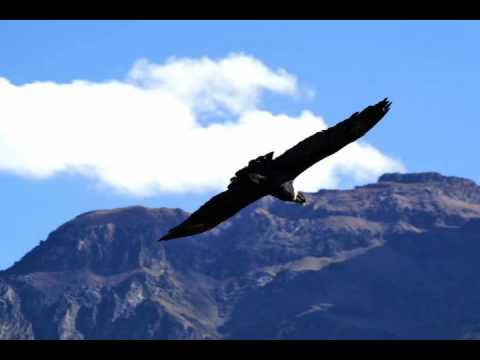 Espiritu Andino - El Condor Pasa
