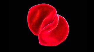 Peter Gabriel - Listening Wind.avi