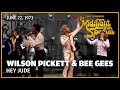 Hey Jude - Bee Gees and Wilson Pickett | The Midnight Special
