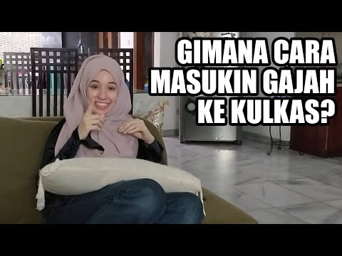 gimana-masukin-gajah-ke-kulkas