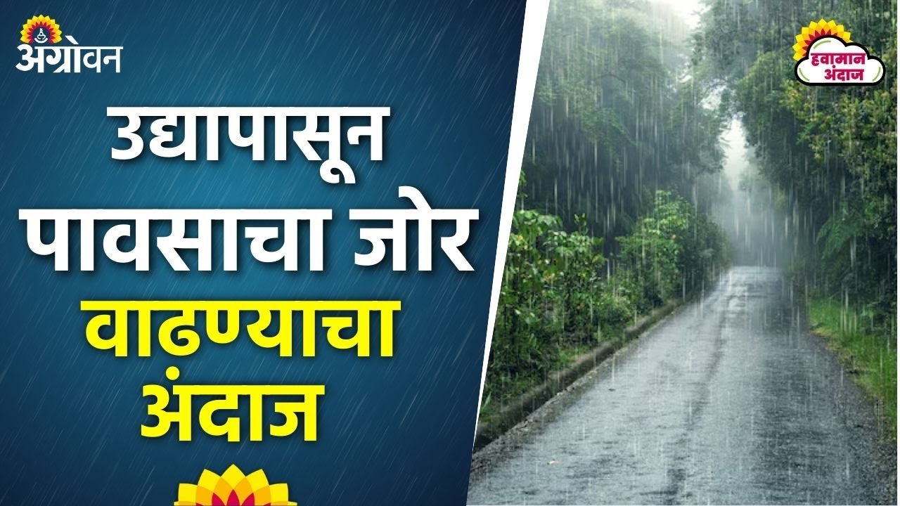 Maharashtra Rain Alert : मराठवाडा आणि विदर्भात पावसाला पुन्हा सुरुवात होणार | Agrowon