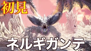 【MHWI】悉くを滅ぼすネルギガンテ 初見 太刀 ソロ【モンスターハンターワールドアイスボーン】