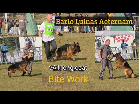 Va1 Bario Luinas Aeternam