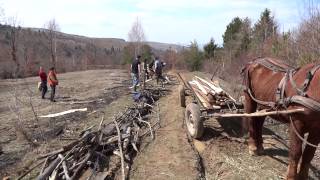 preview picture of video 'Fence building in Ozsdola, Transylvania'