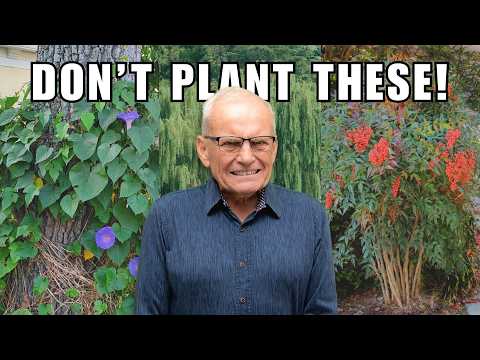 6 Plants I’ll NEVER Use Again After 60 Years of Landscaping