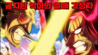 세계를 멸망시킬 금지된 악마의 열매의 각성자