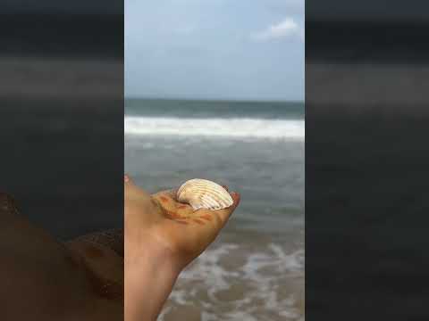 Beach #beach #beachlove #beachlife #andhrapradesh