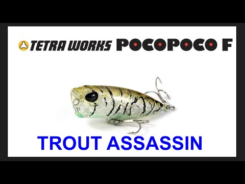Topwater Popper Tetra Works POCOPOCO