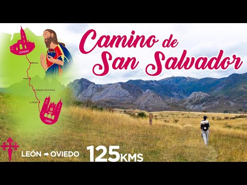 Camino de San Salvador | De León a Oviedo a Pie 👀 Resumen
