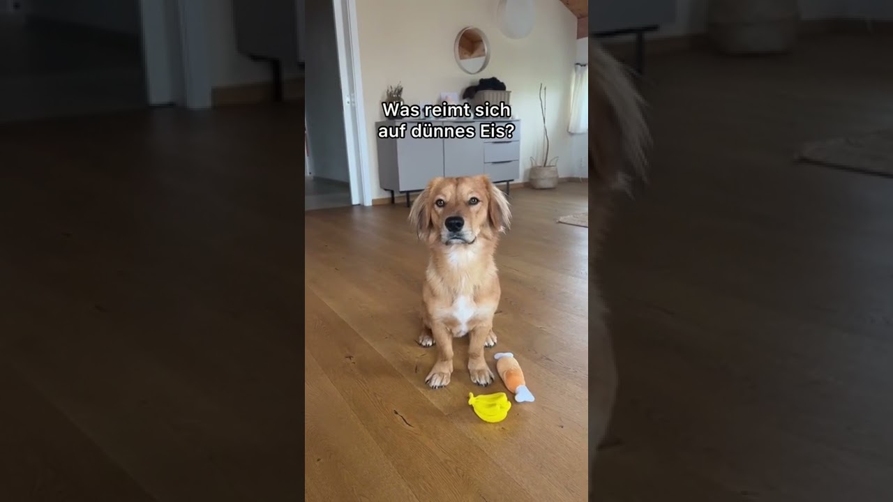 Was reimt sich auf dünnes Eis