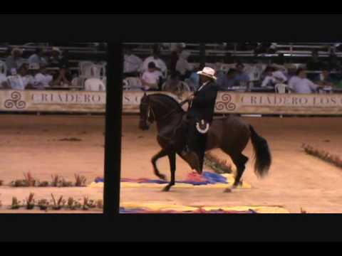 PASOFINOTV.COM - ARAFAT DEL PUNTO EN LA FERIA NACIONAL 2010