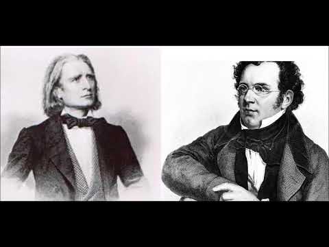 Sergey Koudriakov - F. Schubert / F. Liszt - "Die Stadt" (The Town)