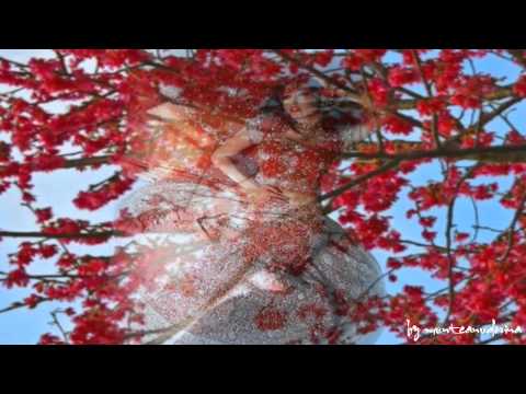 Nina Savu - Dimineata sa numara banii