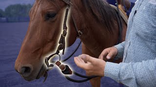The Best "Bit Fit" for Your Horse