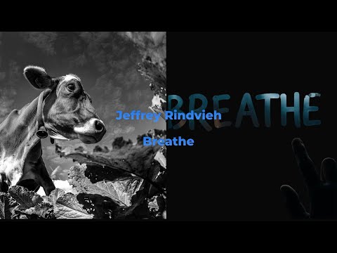 Jeffrey Rindvieh / Breathe