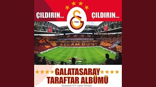 Bilek Hakkıyla (Çıldırın Percussion Mix)