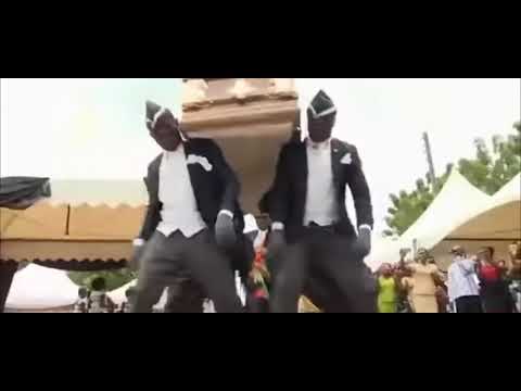 This cat failed LOL 😆  funny cat