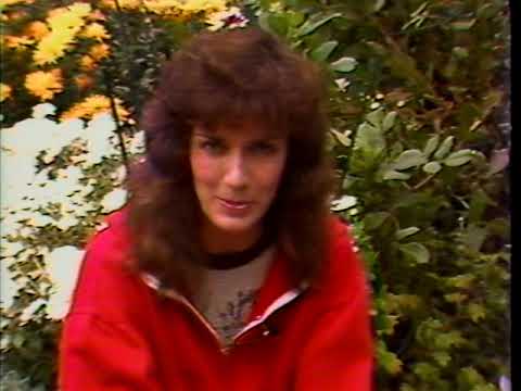 This Week in EB #251 - October 15, 1987