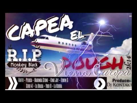Capea el Dough 2K14 - Version Viena (All Stars )