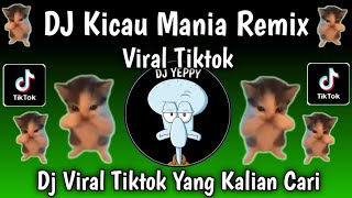 Download lagu DJ KICAU MANIA REMIX TIKTOK VIRAL TERBARU 2026 mp3