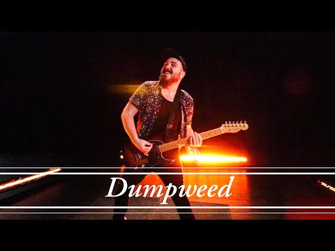 Dumpweed (Modern Pop Punk Version)